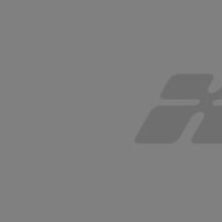 Mauris placerat eleifend leo