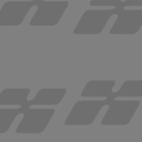 Pellentesque habitant morbi