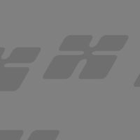 Donec non enim in turpis